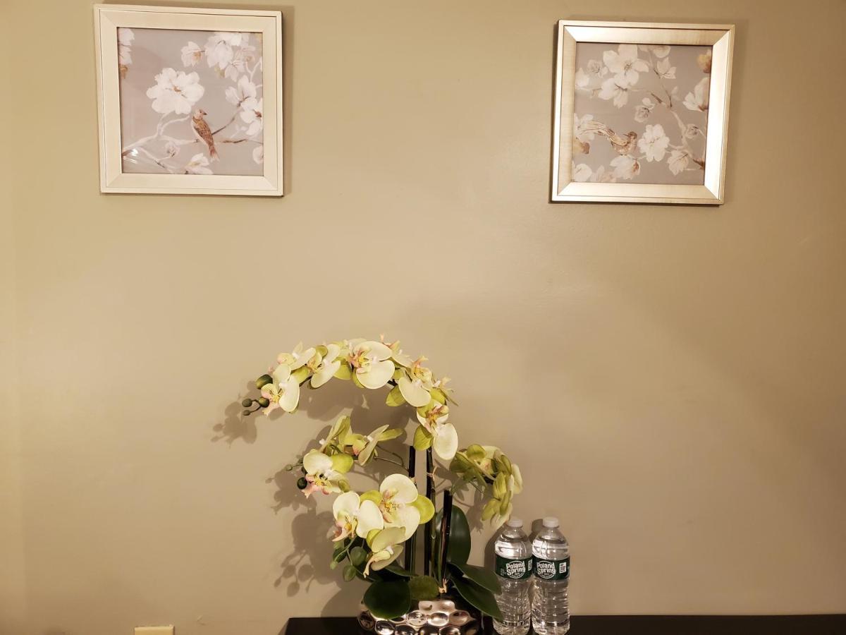Tranquil House In Cambridge Hotel Eksteriør billede